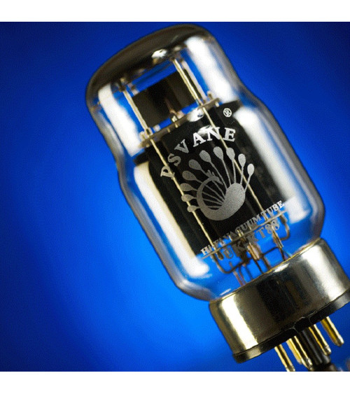 PSVANE UK-KT88 Vacuum Tubes HIFI EXQUIS Factory Matched(for pair) New HIFI United Kingdom series