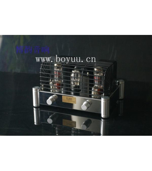 HIFI EXQUIS BOYUU A10 EL34 tube protection grill cover