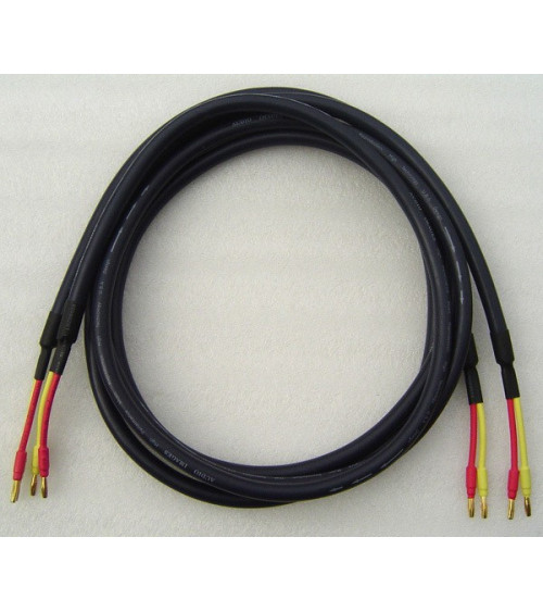 XIANGSHENG 2.2 m High fever sound speaker wire speaker cable sound equilibre Affordable high leve quality