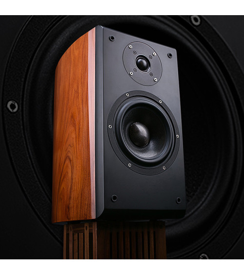 TUOLIHAO SESP6-II Bookself Hifi Speakers with Scan-Speak D2905 tweeter Selected Speakers SESP6