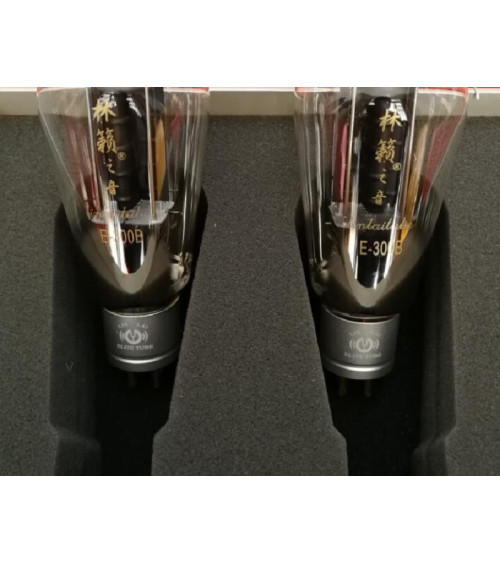 LinLai E-300B Electric Tube HIFI EXQUIS Natural Sound Elegant Appearance