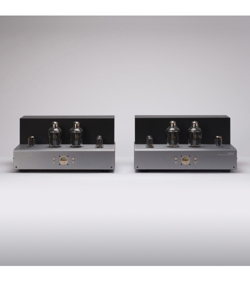 Raphaelite New CPM170 KT170 MonoBlock Tube Amplifier HIFI EXQUIS Push Pull Rear AMP