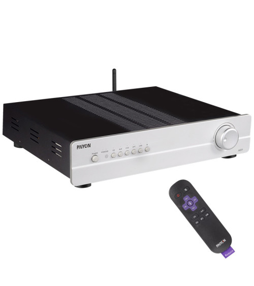 PAIYON A201 Hi-Fi Integrated Amplifier